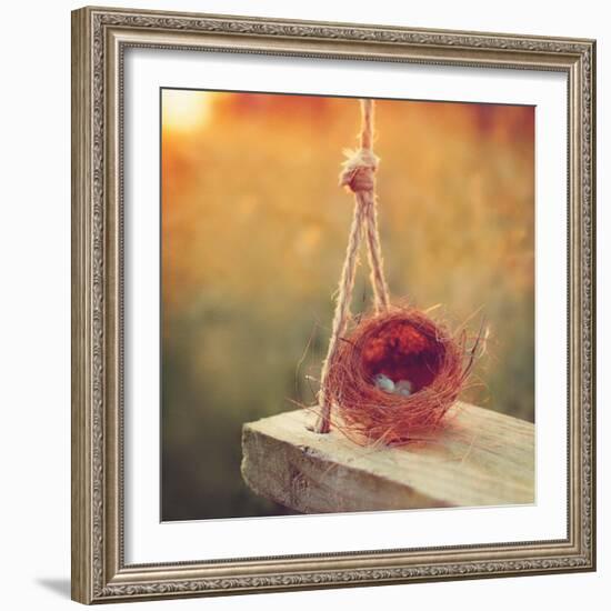 Swing and Nest-Mandy Lynne-Framed Art Print