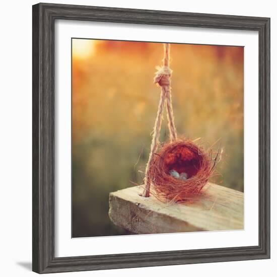 Swing and Nest-Mandy Lynne-Framed Art Print