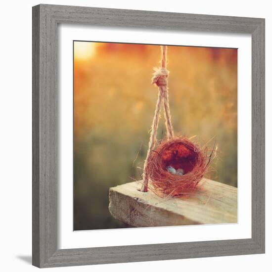 Swing and Nest-Mandy Lynne-Framed Art Print