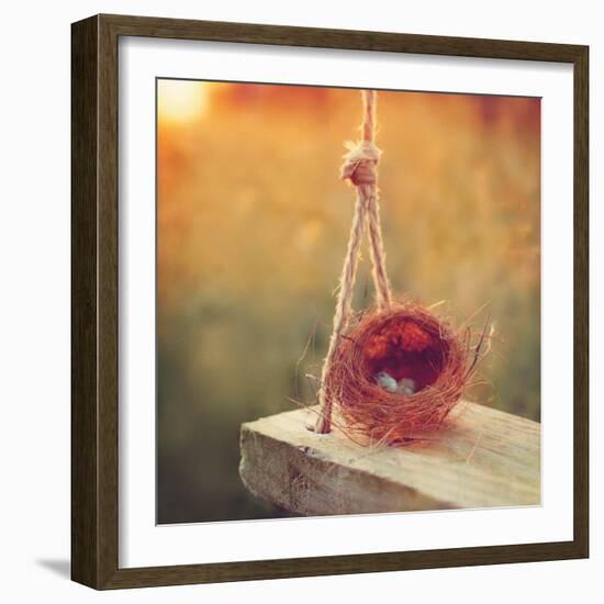 Swing and Nest-Mandy Lynne-Framed Art Print