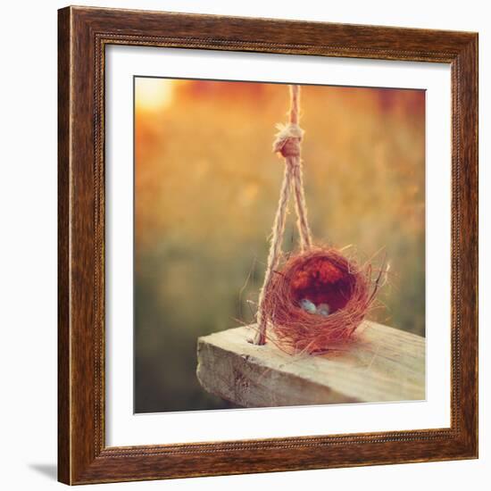 Swing and Nest-Mandy Lynne-Framed Art Print