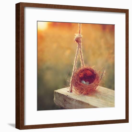 Swing and Nest-Mandy Lynne-Framed Art Print