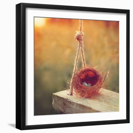 Swing and Nest-Mandy Lynne-Framed Art Print