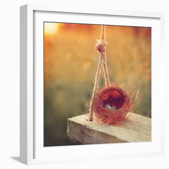 Swing and Nest-Mandy Lynne-Framed Art Print