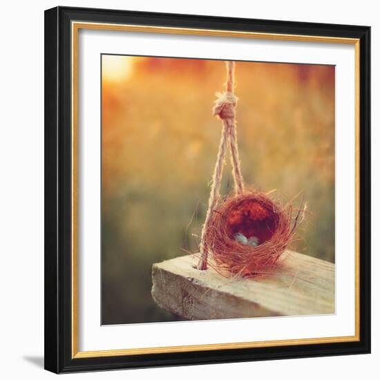 Swing and Nest-Mandy Lynne-Framed Art Print