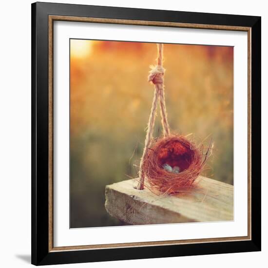 Swing and Nest-Mandy Lynne-Framed Premium Giclee Print