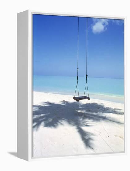 Swing on the Beach Above Palm Tree Shadow-null-Framed Premier Image Canvas