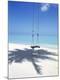 Premium Photographic Print