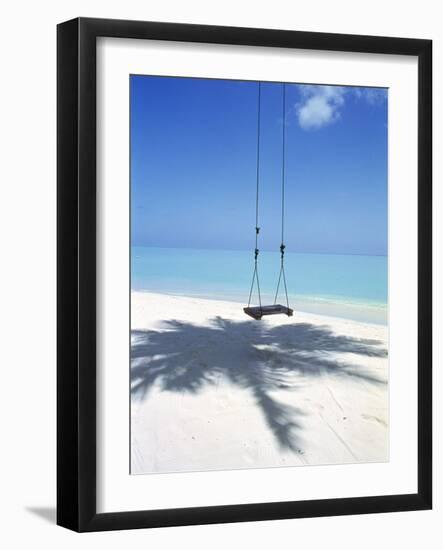 Swing on the Beach Above Palm Tree Shadow-null-Framed Photographic Print