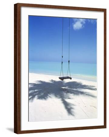 Swing on the Beach Above Palm Tree Shadow' Photographic Print | Art.com