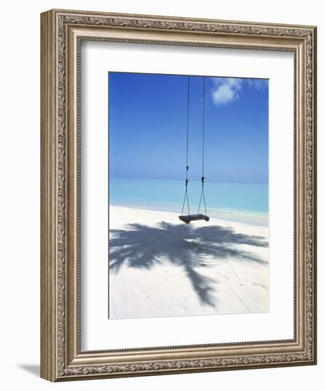 Swing on the Beach Above Palm Tree Shadow-null-Framed Premium Photographic Print