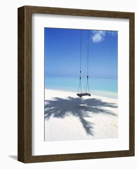 Swing on the Beach Above Palm Tree Shadow-null-Framed Premium Photographic Print