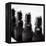 Swing-Top Beer Bottles-Stefan Braun-Framed Premier Image Canvas