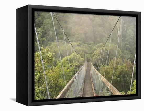 Swingbridge, Motu Falls, Motu, Gisborne, North Island, New Zealand, Pacific-Jochen Schlenker-Framed Premier Image Canvas
