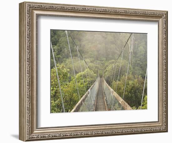 Swingbridge, Motu Falls, Motu, Gisborne, North Island, New Zealand, Pacific-Jochen Schlenker-Framed Photographic Print