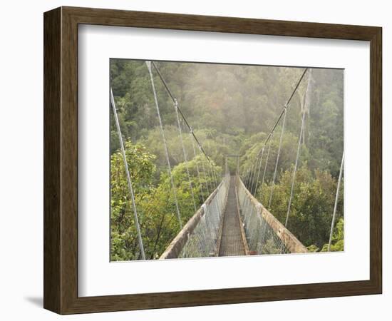 Swingbridge, Motu Falls, Motu, Gisborne, North Island, New Zealand, Pacific-Jochen Schlenker-Framed Photographic Print