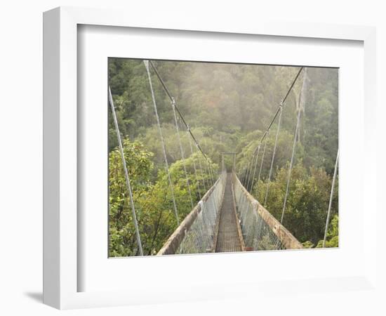 Swingbridge, Motu Falls, Motu, Gisborne, North Island, New Zealand, Pacific-Jochen Schlenker-Framed Photographic Print