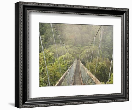 Swingbridge, Motu Falls, Motu, Gisborne, North Island, New Zealand, Pacific-Jochen Schlenker-Framed Photographic Print