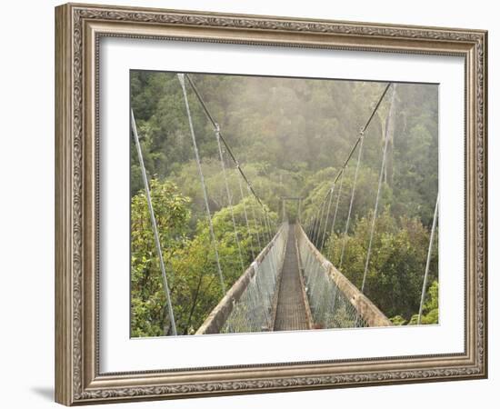 Swingbridge, Motu Falls, Motu, Gisborne, North Island, New Zealand, Pacific-Jochen Schlenker-Framed Photographic Print