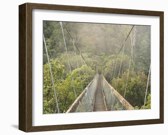 Swingbridge, Motu Falls, Motu, Gisborne, North Island, New Zealand, Pacific-Jochen Schlenker-Framed Photographic Print