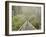 Swingbridge, Motu Falls, Motu, Gisborne, North Island, New Zealand, Pacific-Jochen Schlenker-Framed Photographic Print