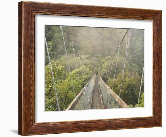 Swingbridge, Motu Falls, Motu, Gisborne, North Island, New Zealand, Pacific-Jochen Schlenker-Framed Photographic Print