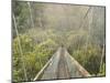 Swingbridge, Motu Falls, Motu, Gisborne, North Island, New Zealand, Pacific-Jochen Schlenker-Mounted Photographic Print