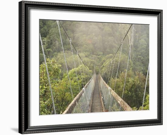 Swingbridge, Motu Falls, Motu, Gisborne, North Island, New Zealand, Pacific-Jochen Schlenker-Framed Photographic Print