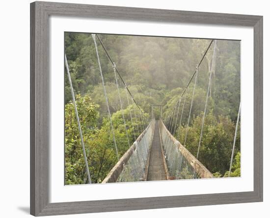 Swingbridge, Motu Falls, Motu, Gisborne, North Island, New Zealand, Pacific-Jochen Schlenker-Framed Photographic Print