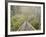 Swingbridge, Motu Falls, Motu, Gisborne, North Island, New Zealand, Pacific-Jochen Schlenker-Framed Photographic Print