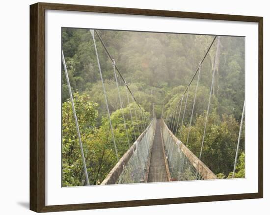 Swingbridge, Motu Falls, Motu, Gisborne, North Island, New Zealand, Pacific-Jochen Schlenker-Framed Photographic Print