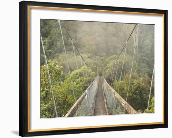 Swingbridge, Motu Falls, Motu, Gisborne, North Island, New Zealand, Pacific-Jochen Schlenker-Framed Photographic Print