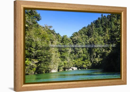Swinging Bridge, Abel Tasman National Park, South Island, New Zealand, Pacific-Michael-Framed Premier Image Canvas
