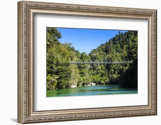 Swinging Bridge, Abel Tasman National Park, South Island, New Zealand, Pacific-Michael-Framed Photographic Print