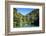 Swinging Bridge, Abel Tasman National Park, South Island, New Zealand, Pacific-Michael-Framed Photographic Print