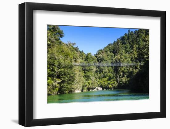 Swinging Bridge, Abel Tasman National Park, South Island, New Zealand, Pacific-Michael-Framed Photographic Print