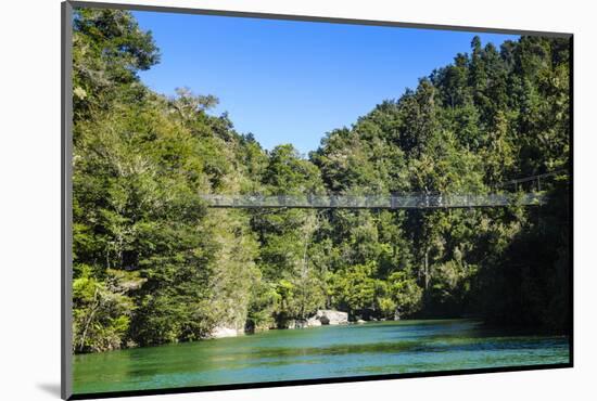 Swinging Bridge, Abel Tasman National Park, South Island, New Zealand, Pacific-Michael-Mounted Photographic Print