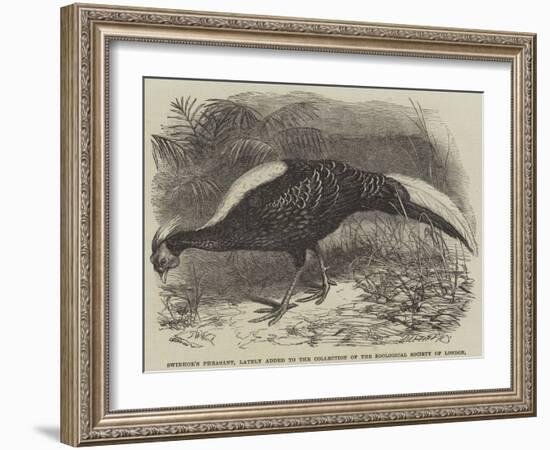 Swinhoe's Pheasant, Lately Added to the Collection of the Zoological Society of London-Thomas W. Wood-Framed Giclee Print