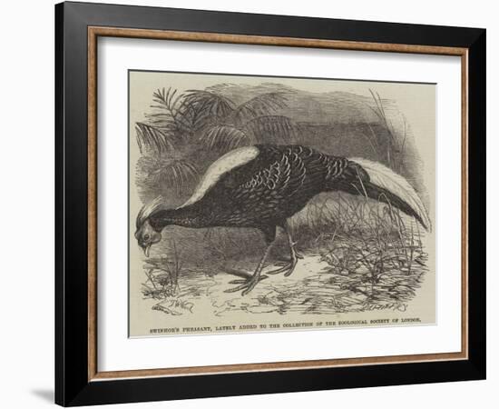 Swinhoe's Pheasant, Lately Added to the Collection of the Zoological Society of London-Thomas W. Wood-Framed Giclee Print