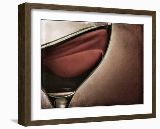 Swirling Red Wine-Steve Lupton-Framed Photographic Print