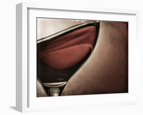 Swirling Red Wine-Steve Lupton-Framed Photographic Print