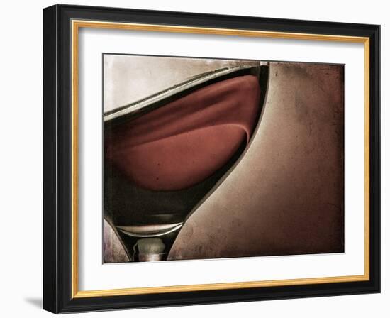 Swirling Red Wine-Steve Lupton-Framed Photographic Print