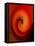 Swirling Red-Ruth Palmer-Framed Stretched Canvas