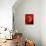 Swirling Red-Ruth Palmer-Mounted Art Print displayed on a wall