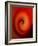 Swirling Red-Ruth Palmer-Framed Art Print