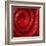 Swirls of nail polish-Jack Miskell-Framed Premium Photographic Print