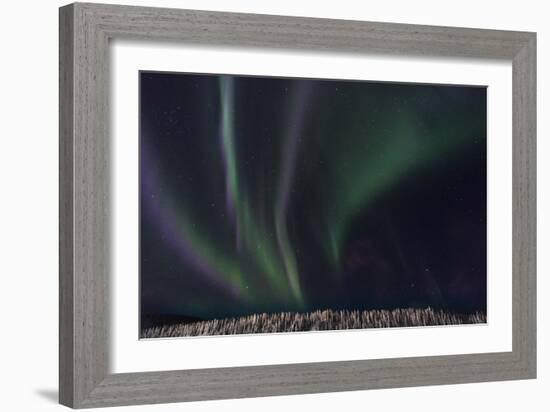 Swirls Of Wonder-Brenda Petrella Photography LLC-Framed Giclee Print