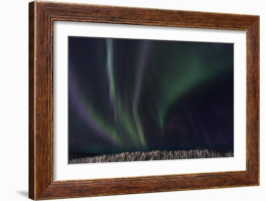 Swirls Of Wonder-Brenda Petrella Photography LLC-Framed Giclee Print