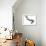 Swirls VI-Monika Burkhart-Framed Photographic Print displayed on a wall