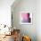 Swish of Magenta II-Piper Rhue-Framed Art Print displayed on a wall